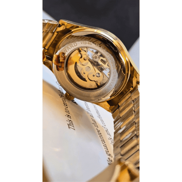 REWAED Automatic – Mechanical Movement Premium Quality Chain Watch