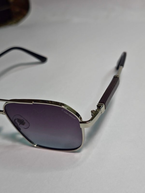 Cartier Sunglasses with Metal Frame